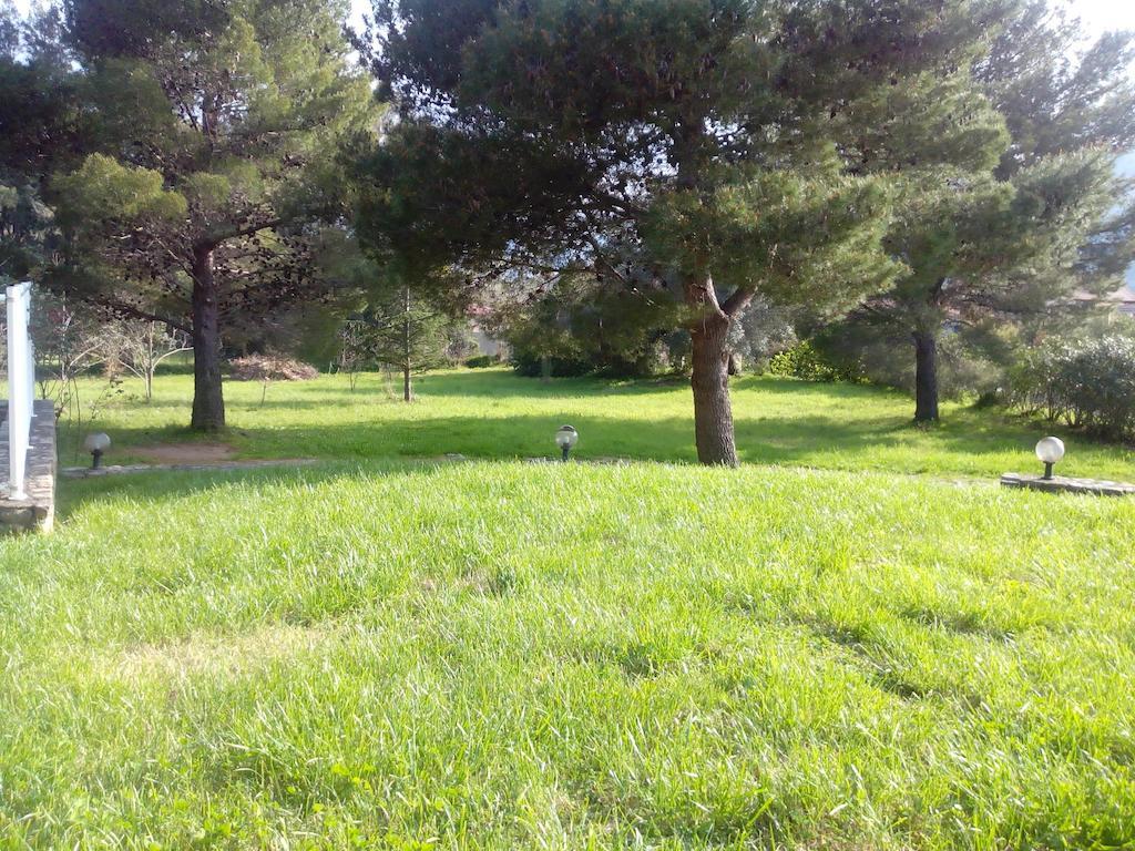 Villa Domaine Les 4 Vents Patrimonio Esterno foto